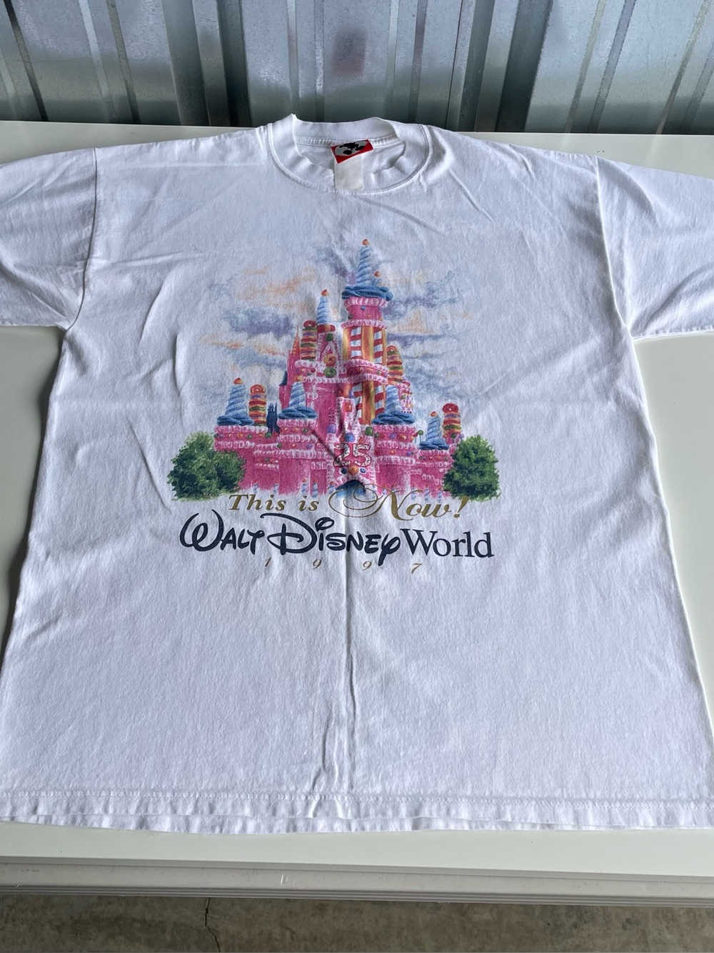 1997 Disney World 25th That Was Then This Is Now Cake Castle Shirt